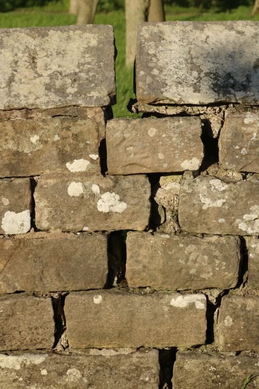 Stone Wall Repair in Montrose, CA